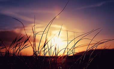 blog nach innen schauen klein