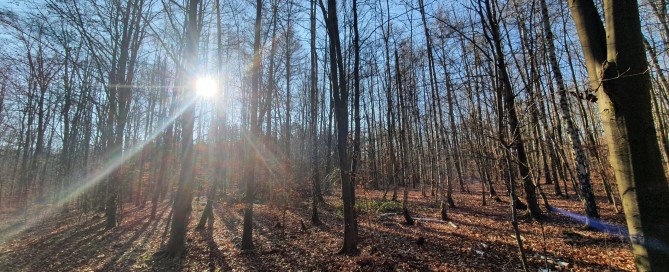 Inneren Frieden schaffen