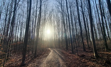 20240205 100123 Beitrag